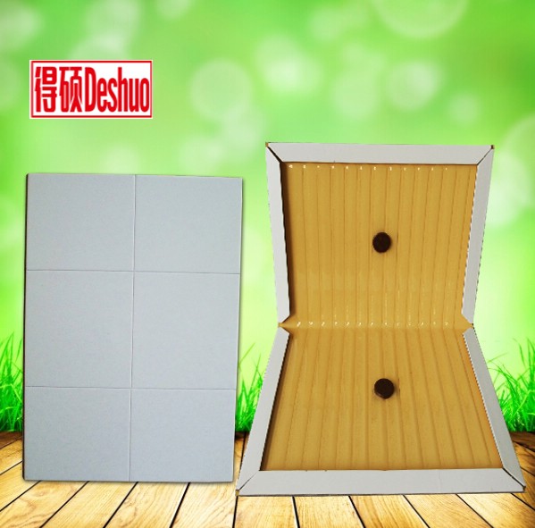 ôTɫQճ壨mouse glue trap